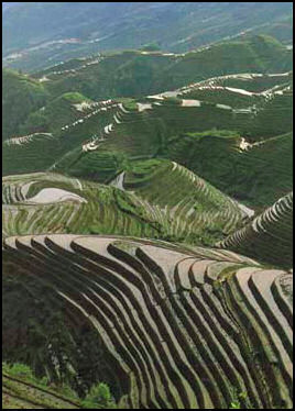 20080316-rice terraces in Yunnan Guinzhou u wash.jpg